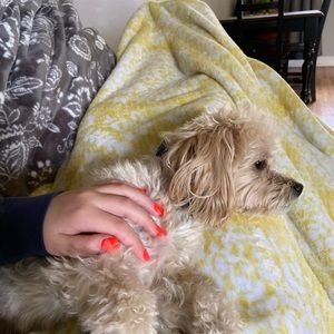 Meet your Posher, Grace